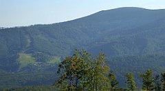 0099_TZ60_P1140272_cr