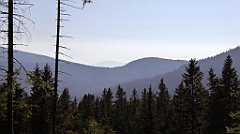 0111_TZ60_P1140280_cr