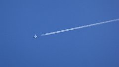 0150_TZ60_P1140298_cr