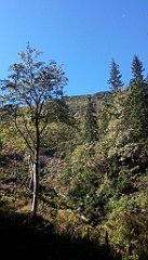 0155_IMG_20160826_093227_cr