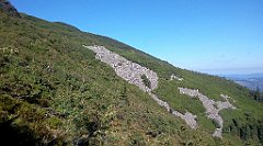 0170_IMG_20160826_094255_cr