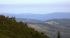 0173_TZ60_P1140306_cr