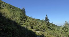 0191_TZ60_P1140323_cr