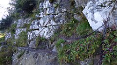 0192_TZ60_P1140324_cr