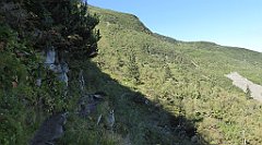 0215a_TZ60_P1140355_cr