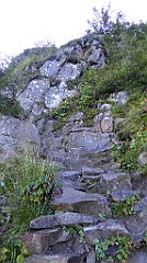 0235_TZ60_P1140368_cr