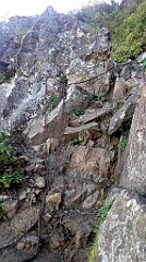 0239_IMG_20160826_101112_cr