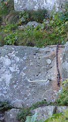 0259_TZ60_P1140390_cr