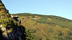 0265_TZ60_P1140398_cr