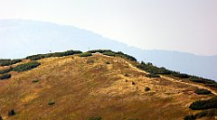 0290_TZ60_P1140411_cr