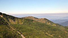 0291_TZ60_P1140412_cr