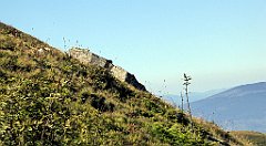 0322_TZ60_P1140438_cr