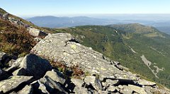 0335_TZ60_P1140445_cr