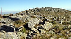 0389_TZ60_P1140512_cr