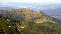 0440_TZ60_P1140514_cr