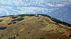 0441_TZ60_P1140515_cr