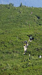 0537_TZ60_P1140533_cr