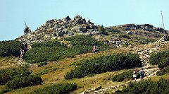 0547_TZ60_P1140544_cr