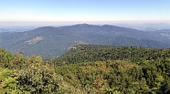 0554a_TZ60_P1140545_cr