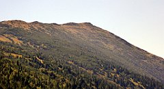 0571_TZ60_P1140553_cr