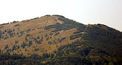 0572_TZ60_P1140554_cr