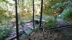 0606_TZ60_P1140571_cr