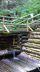 0623a_TZ60_P1140579_cr