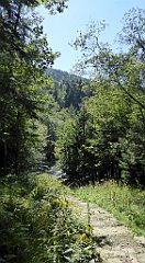 0640_TZ60_P1140582_cr