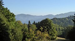 075_TZ60_P1140625_cr