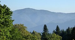 076_TZ60_P1140626_cr