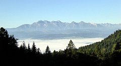 080_TZ60_P1140630_cr