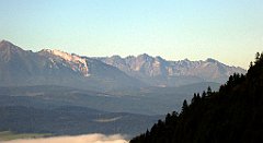 084_TZ60_P1140636_cr