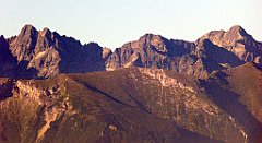 088_TZ60_P1140642_cr