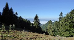 105_TZ60_P1140654_cr