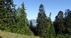 207_TZ60_P1140732_cr