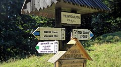 213_TZ60_P1140738_cr