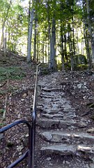 226_TZ60_P1140741_cr