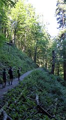 264_TZ60_P1140772_cr