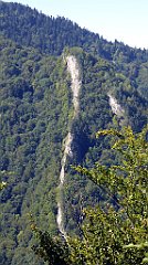 316a_TZ60_P1140780_cr