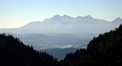 319_TZ60_P1140781_cr