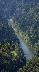 323_TZ60_P1140784_cr