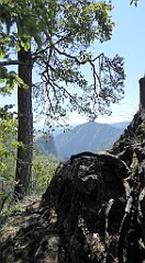 334_TZ60_P1140787_cr