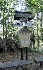 345_TZ60_P1140790_cr