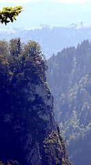 354_TZ60_P1140794_cr