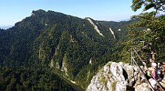 435_TZ60_P1140816_cr