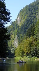 472_TZ60_P1140825_cr