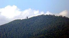 514_TZ60_P1140848_cr