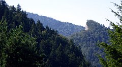 519_TZ60_P1140851_cr