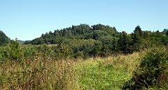 533_TZ60_P1140862_cr