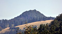 585_TZ60_P1140903_cr